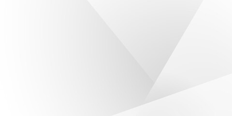 Abstract white and gray vector background. texture white pattern	
