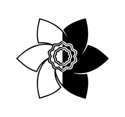 daffodil - narcissus flower isolated on white background9_narcis_10.ai