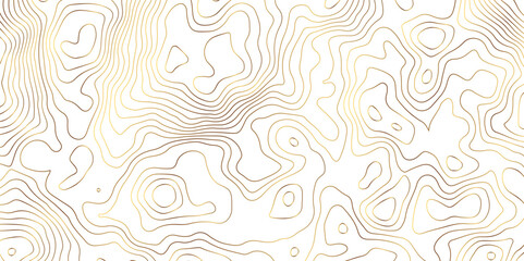 abstract golden topographic line Background of the topographic map. Topographic map lines, contour background. Geographic abstract grid.