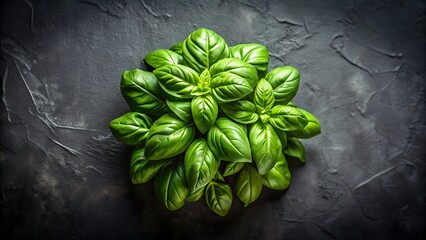Fresh basil leaves, organic produce, and high contrast lighting create a rustic kitchen aesthetic in a top view, showcasing the culinary herb and aromatic spice.