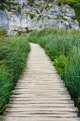 Wooden boardwalk hiking trail between long, thin, green swamp grass in nature park, perspective view