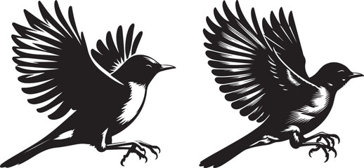  American Robin bird silhouette vector art illustration. American robin bird species vector design.