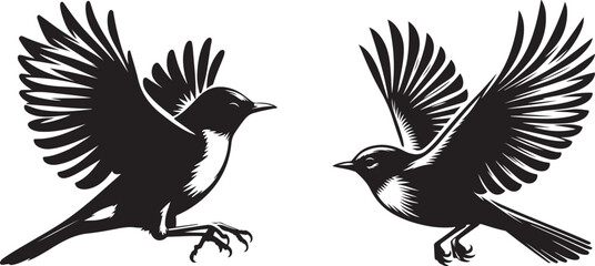 Obraz premium American Robin bird silhouette vector art illustration. American robin bird species vector design.