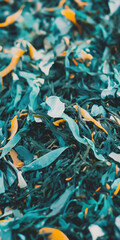 Vibrant seaweed texture with teal and orange colors