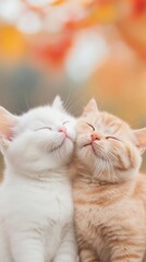 Fototapeta premium Adorable baby cats sharing a loving kiss under a tree. Sweet British Shorthair kittens kissing.