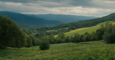Obraz premium Green grass growing on hills with mountains in background