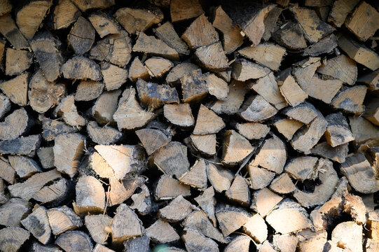 Chopped firewood stacked in the woodshed