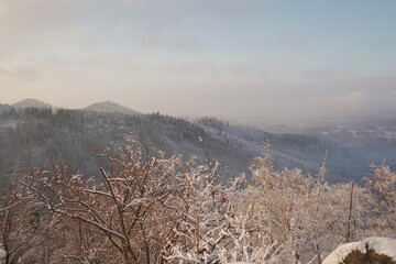 landscape with fog