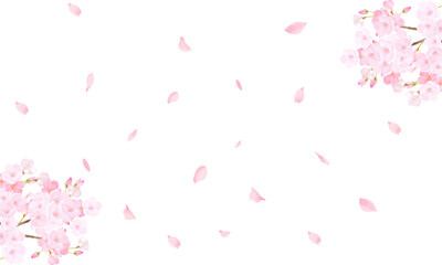 桜の木ー美しい薄いピンク色の桜の花と花びら春の水彩白バックフレーム背景素材イラスト