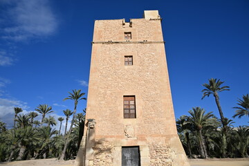 stara kamienna wieża na tle nieba i palmy © Miroslaw