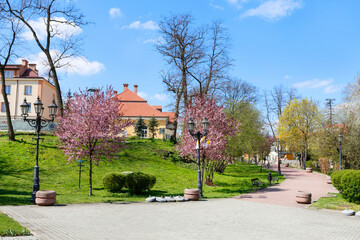 Naklejka premium WIELICZKA, POLAND - APRIL 15, 2024: Beautiful city park in Wieliczka, Poland.