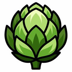 artichoke isolated on vector