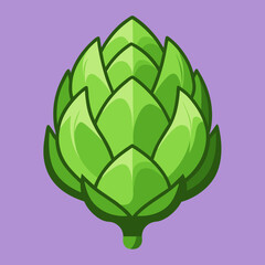 artichoke isolated on vector