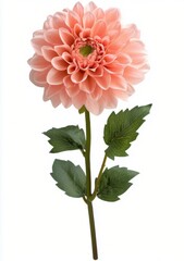 Artificial pink flower with green leaves on a white background