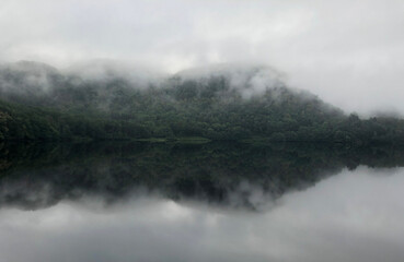 Misty morning by the lake