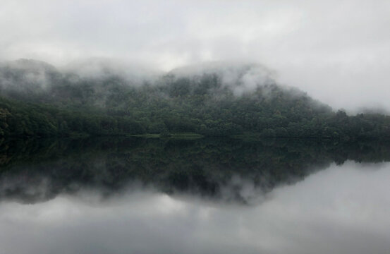 Misty morning by the lake