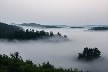 Fototapeta premium Beautiful landscape of fog flowing between hills covered with coniferous forest