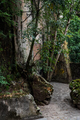 Fototapeta premium old house in orizaba 