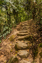 Hiking trail near Minca, Colombia