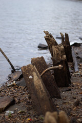 Fototapeta premium old log part of pier waterside