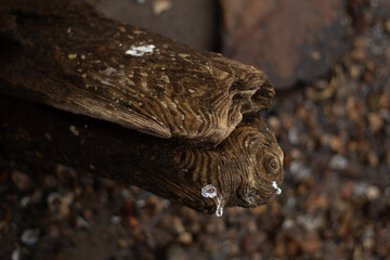 old log part of pier