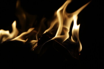 FUEGO NOCTURNO