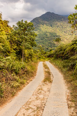 Road in a forest near Minca, Colombia.