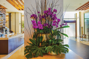 Elegant floral arrangement with vibrant purple orchids and lush green leaves in golden pots on marble surface in luxury hotel lobby. Mexico.  © Alex
