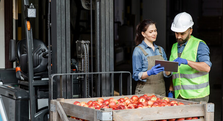 Management of movement of products in modern warehouse, mobile app and modern tech for work and loading. Friendly young female in uniform and gloves shows tablet to guy worker in helmet near forklift