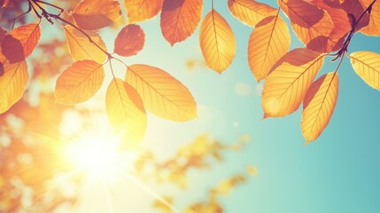 Autumn Leaves Basking in Golden Sunlight