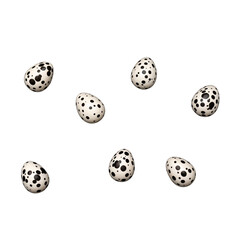 Charming Collection of Black Spotted Eggs Displayed on a Dark Background