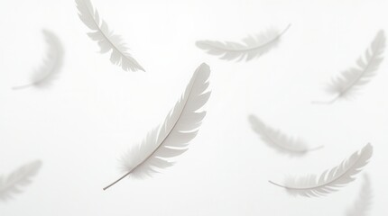 Obraz premium White Feathers Floating In The Air, White Feathers Isolated On White Background