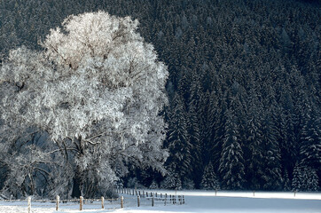 romantische Winterlandschaft - romantic winter landscape