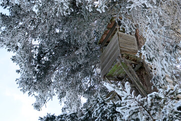 Jägerstand im Winter - hunting stand in frosted tree