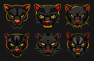 Panteras heads. Pantera face game logo, wild cat logotype animal mascot symbol sport club college team emblem set vector illustration
