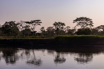 Banks of Magdalena river near Santa Cruz de Mompox, Colombia