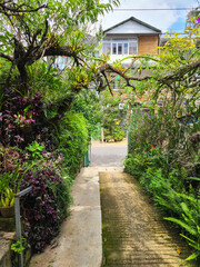 Garden Alley