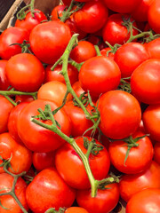 Freshly harvested tomatoes arranged in a vibrant farmer's market display