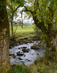 Obraz premium Babbling brook... stream running through the Yorkshire dales.