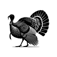 vector turkey silhouette drawing artwork