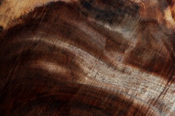 Background of Old wood cut texture