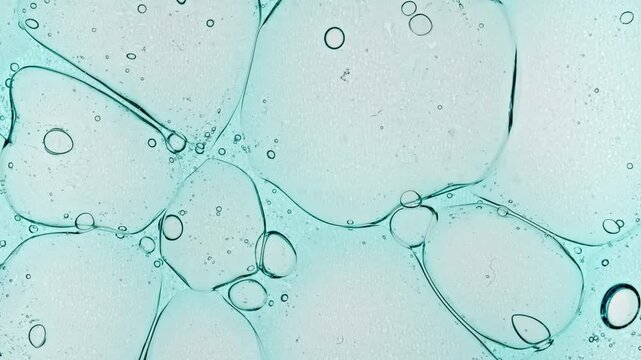 Transparent Bubble cluster, cells under a microscope. Cosmetic gel fluid with molecule bubbles distribution. The medicine concept, health care, treatment. Skin care product. Advertising of product. 4k