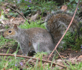 Elveden, Norfolk, United Kingdom, April 18, 2024. Views from Elveden