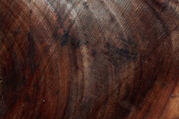 Naklejka premium Background of Old wood cut texture
