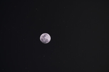 Naklejka premium full moon in the night