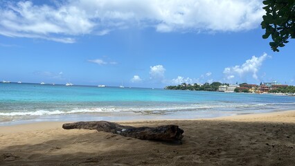 beach with palm trees in Dominican Republic 