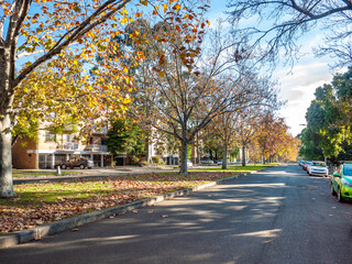 A quiet suburban street in North Melbourne, Australia during autumn, lined with apartment buildings, trees shedding golden leaves and parked cars along the roadside. 