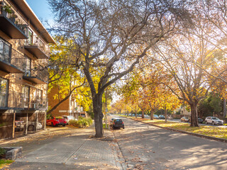 A peaceful suburban street in North Melbourne, lined with mature trees displaying autumn colors and a row of apartment buildings with balconies. Neighbourhood in VIC Australia.