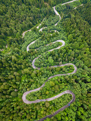 Aerial view of a winding road through a dense green forest with cars driving along it