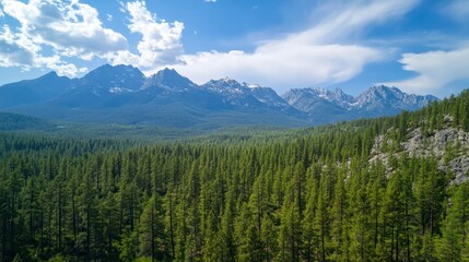 Obraz premium Majestic Mountain Range Overlooking Lush Coniferous Forest - Aerial View